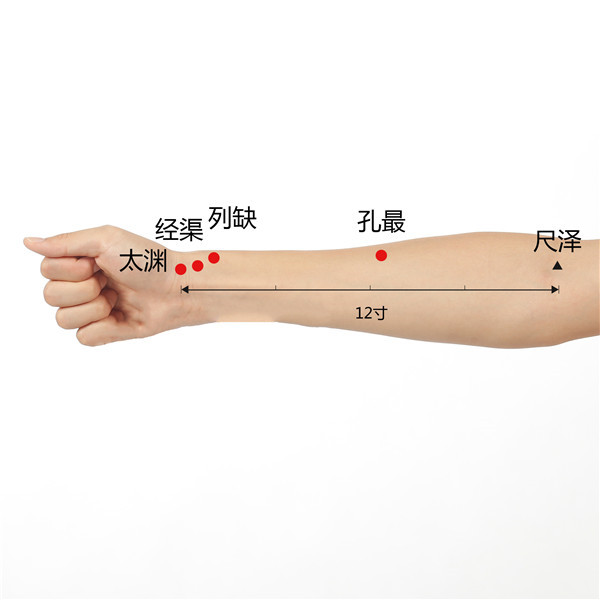 太渊、经渠、列缺、孔最、尺泽(1).jpg