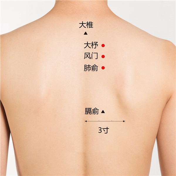 1677142309199156.jpg 大椎、大杼、风门、肺俞、膈俞(1).jpg