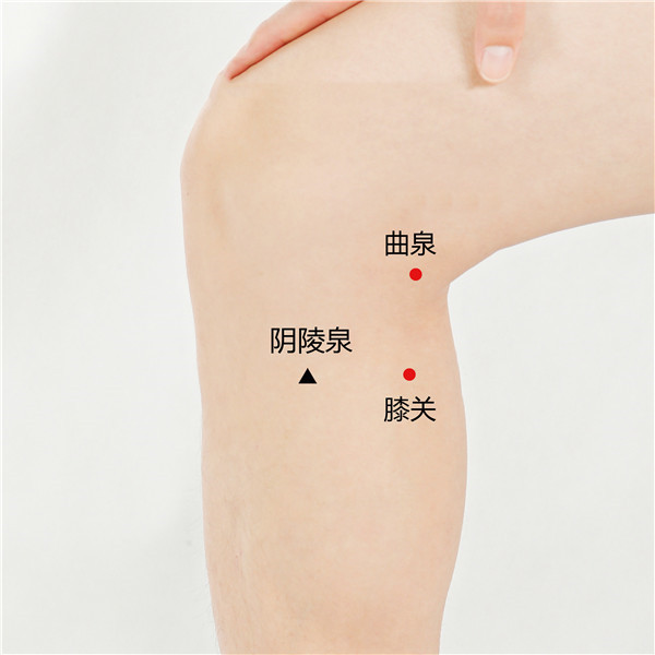 1677142507144166.jpg 曲泉、膝关、yin陵泉(1).jpg