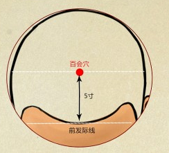 百会.png