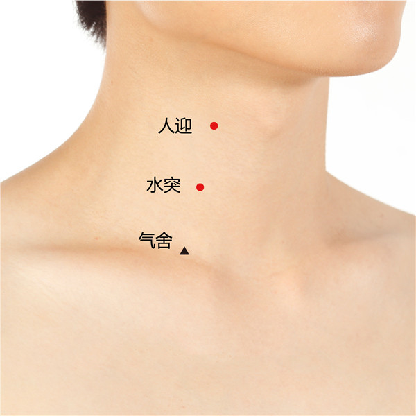 人迎、水突、气舍.jpg