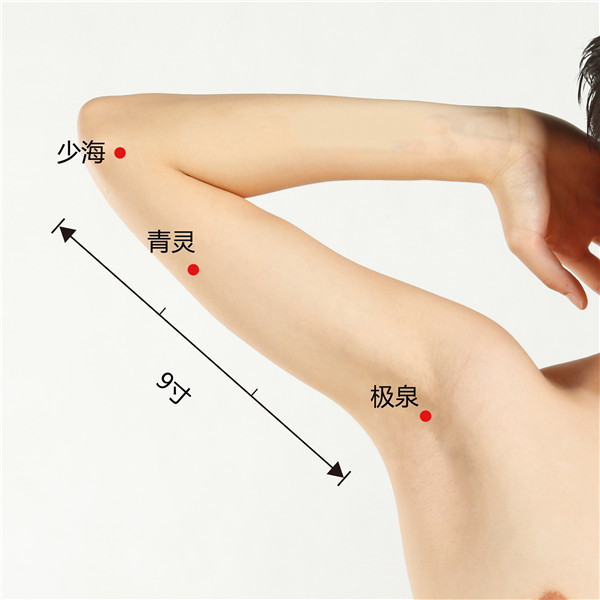 1677142808943474.jpg 少海、青灵、极泉.jpg