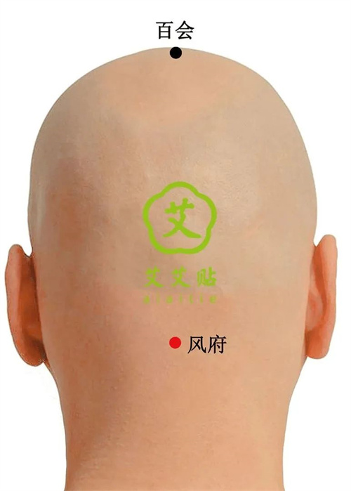 1683786035203537.jpg 艾艾贴艾灸精华贴总代理赵泽红18823198636