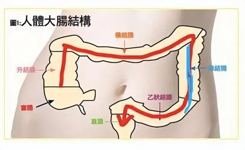 1684138830209698.png 艾艾贴艾灸精华贴总代理赵泽红18823198636