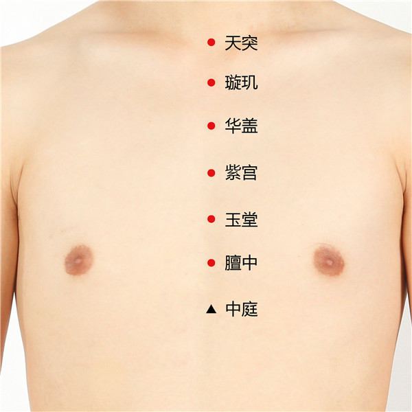 天突、璇玑、华盖、紫宫、玉堂、膻中、中庭.jpg