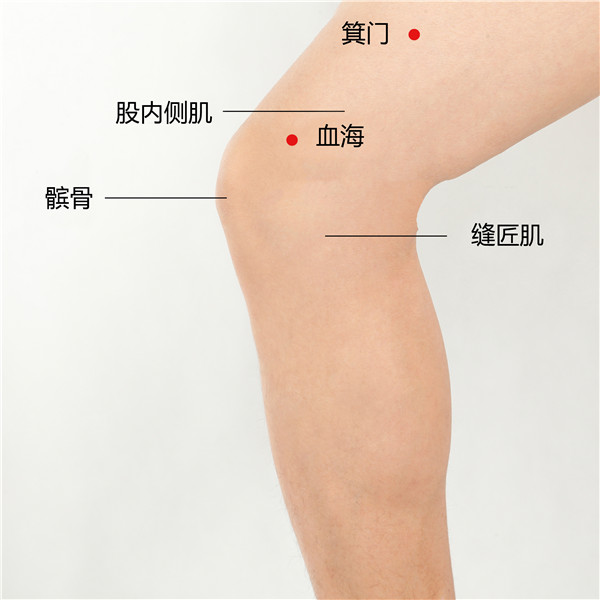 1706319166176636.jpg 箕门、血海.jpg