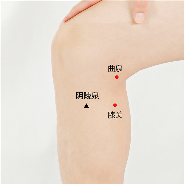 1706707033823213.jpg 曲泉、膝关、yin陵泉.jpg