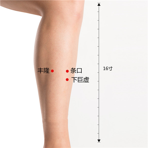 1706707106564880.jpg 丰隆、条口、下巨虚.jpg