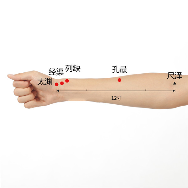 太渊、经渠、列缺、孔最、尺泽.jpg