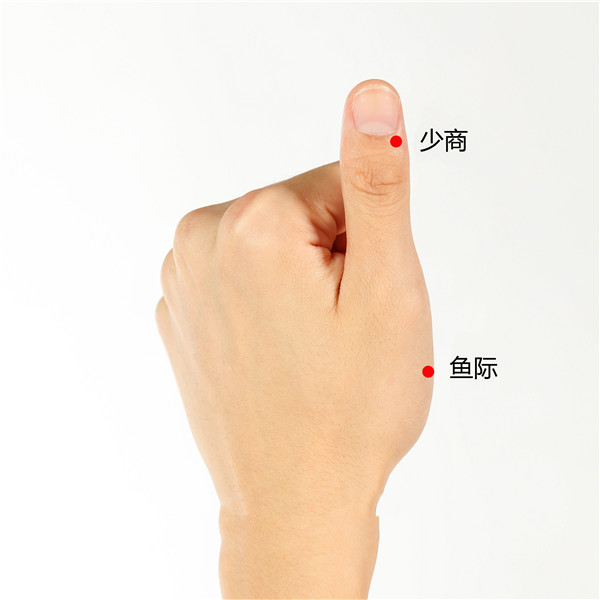 1706707348154492.jpg 少商、鱼际.jpg