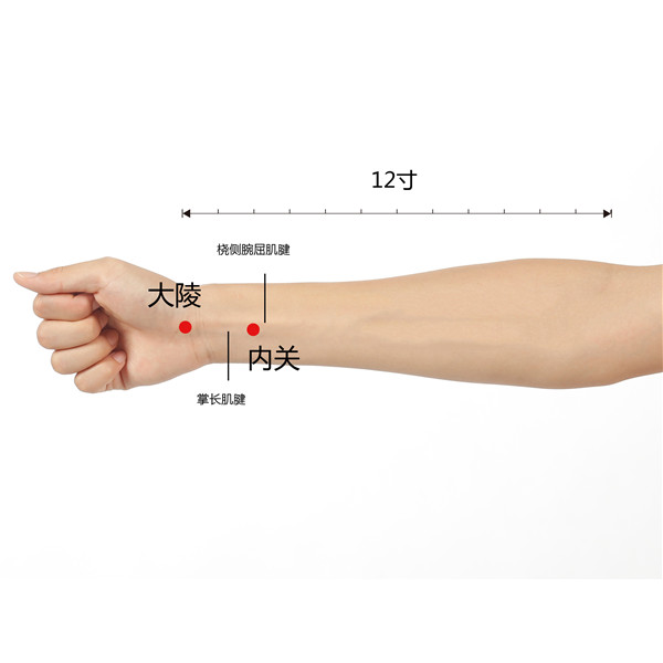 1707832248155926.jpg 大陵、内关.jpg