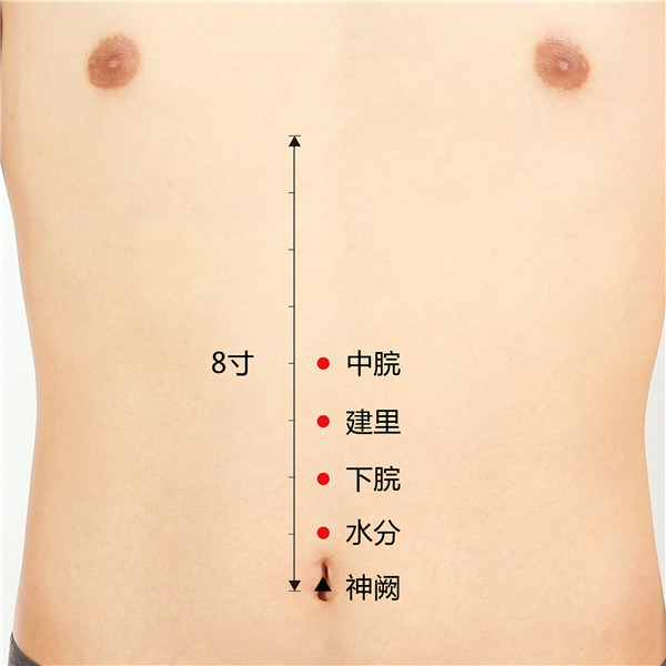 1707832460881636.jpg 中脘、建里、下脘、水分、神阙.jpg