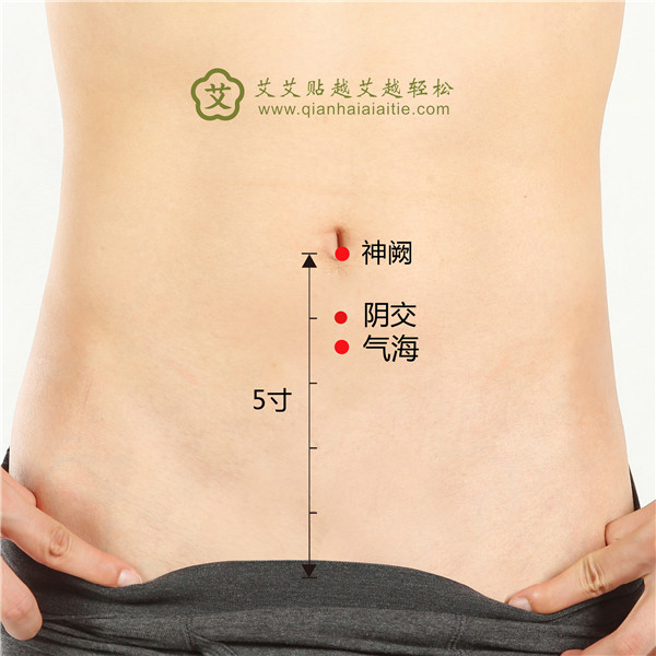 1707832487468290.jpg 神阙、yin交、气海.jpg