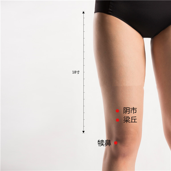 1707832638733632.jpg yinshi、梁丘、犊鼻.jpg