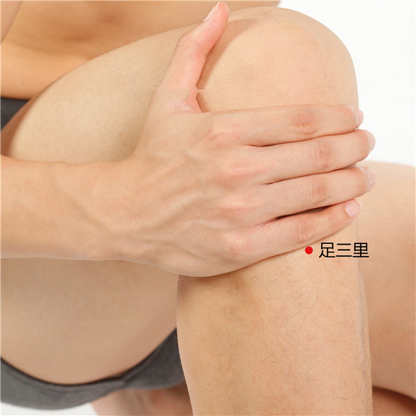1708507508102495.jpg 足三里.jpg