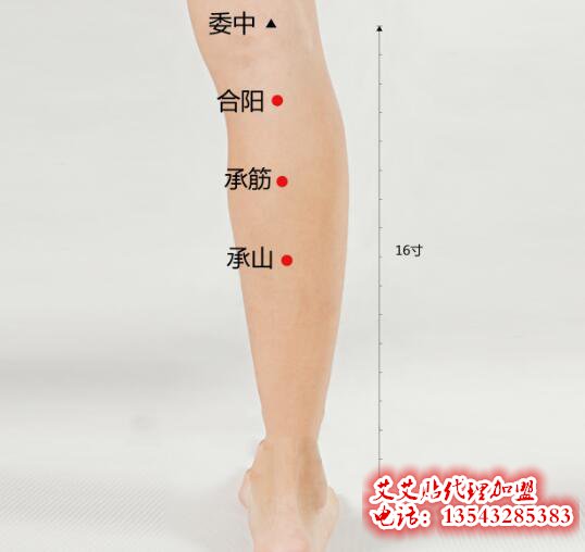 艾艾贴承山穴位置图片 艾艾贴承山穴位置图片