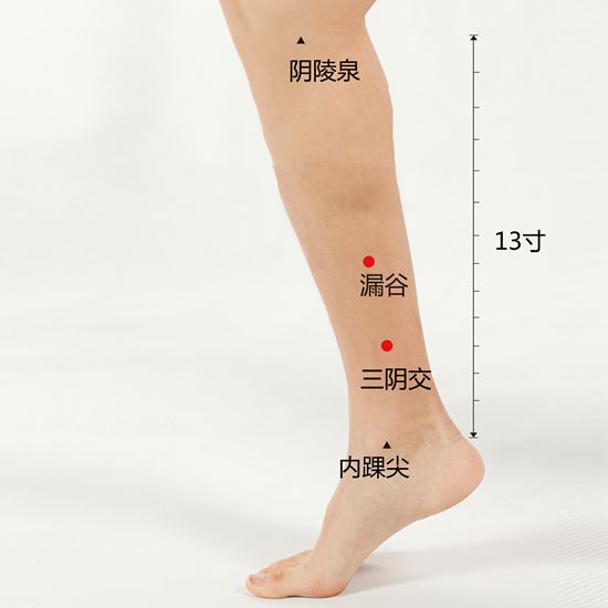漏谷穴治疗脾经血虚 漏谷穴治疗脾经血虚