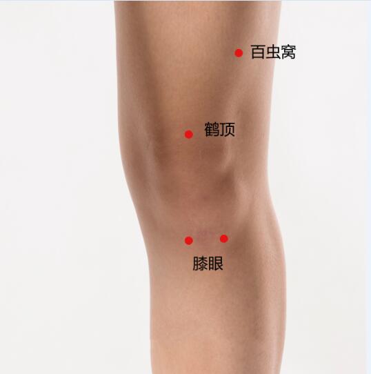艾艾贴艾灸方法 防病保健 > 艾艾贴是什么艾艾贴能调理膝盖痛吗?