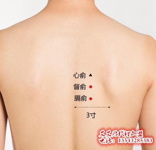 艾艾贴调理心俞穴位指示图