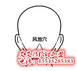 艾艾贴调理风池穴位指示图