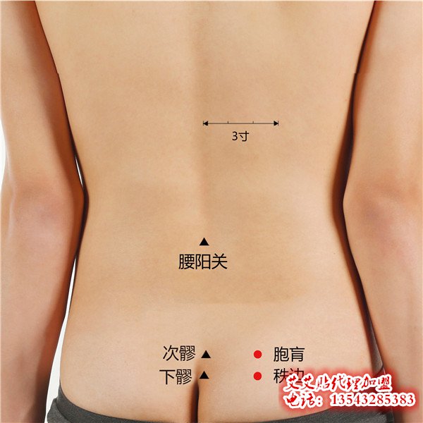 艾艾贴调理秩边穴位指示图