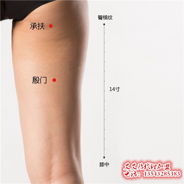 艾艾贴调理承扶穴位指示图
