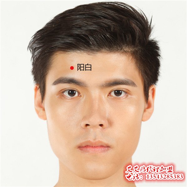 艾艾贴调理阳白穴位指示图