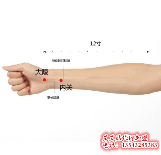艾艾贴调理内关穴位指示图