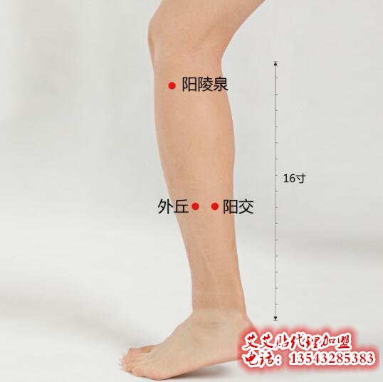 艾艾贴调理阳陵泉穴位指示图