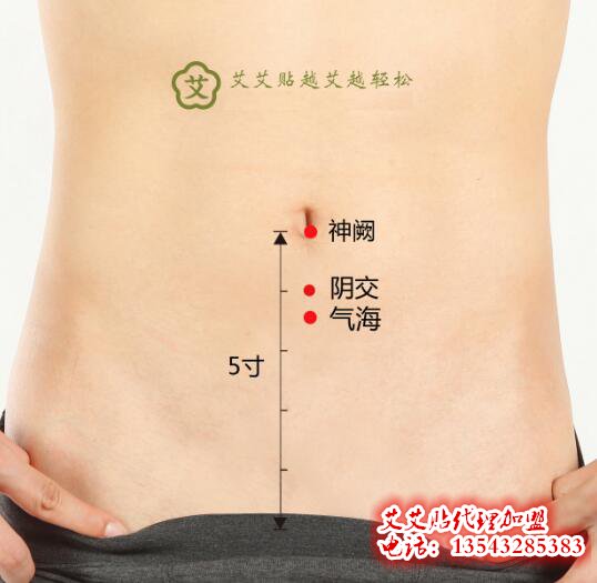 神阙穴位置图片艾艾贴艾灸方法