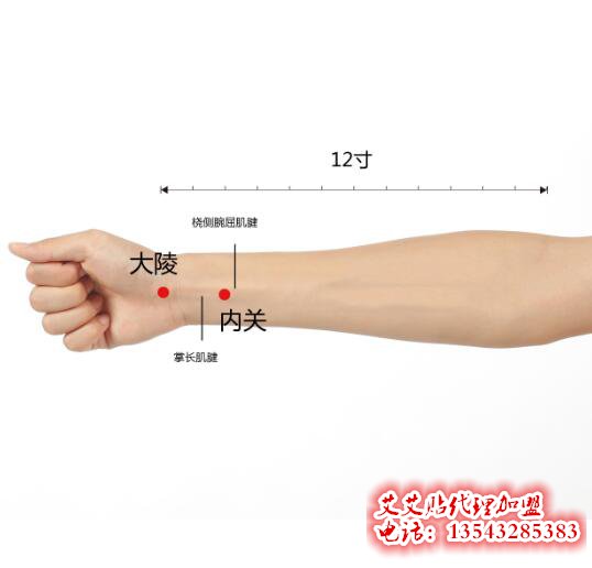 艾艾贴内关穴位置图片