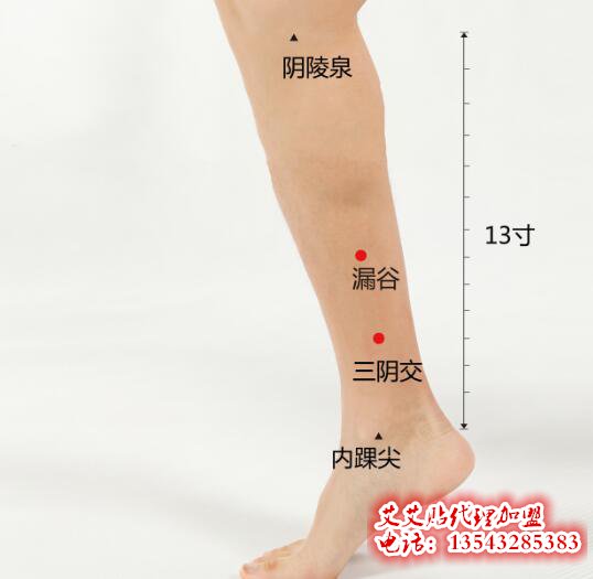 三阴交位置图片解决妇科问题 三阴交位置图片解决妇科问题