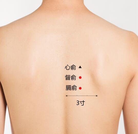 艾艾贴调理气血虚弱