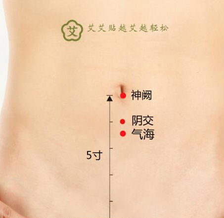艾艾贴艾灸调理阳虚神厥穴 艾艾贴艾灸调理阳虚神厥穴