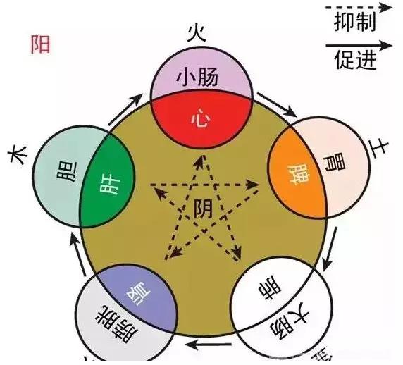 艾艾贴加强新陈代谢 艾艾贴加强新陈代谢