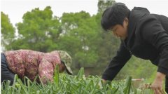 她是类风湿困住二十余年的“笼中鸟”，如今终