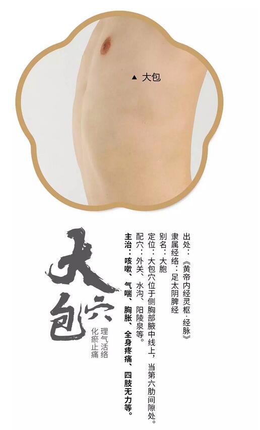 艾艾贴大包穴位置图片|理气活络,化瘀止痛