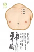 艾艾贴神藏穴位置图片|宽胸理气，降逆平喘