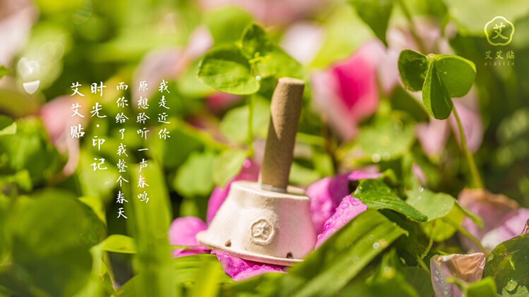 艾艾贴能天天使用吗? 艾艾贴能天天使用吗?