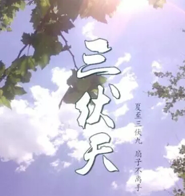 三伏灸